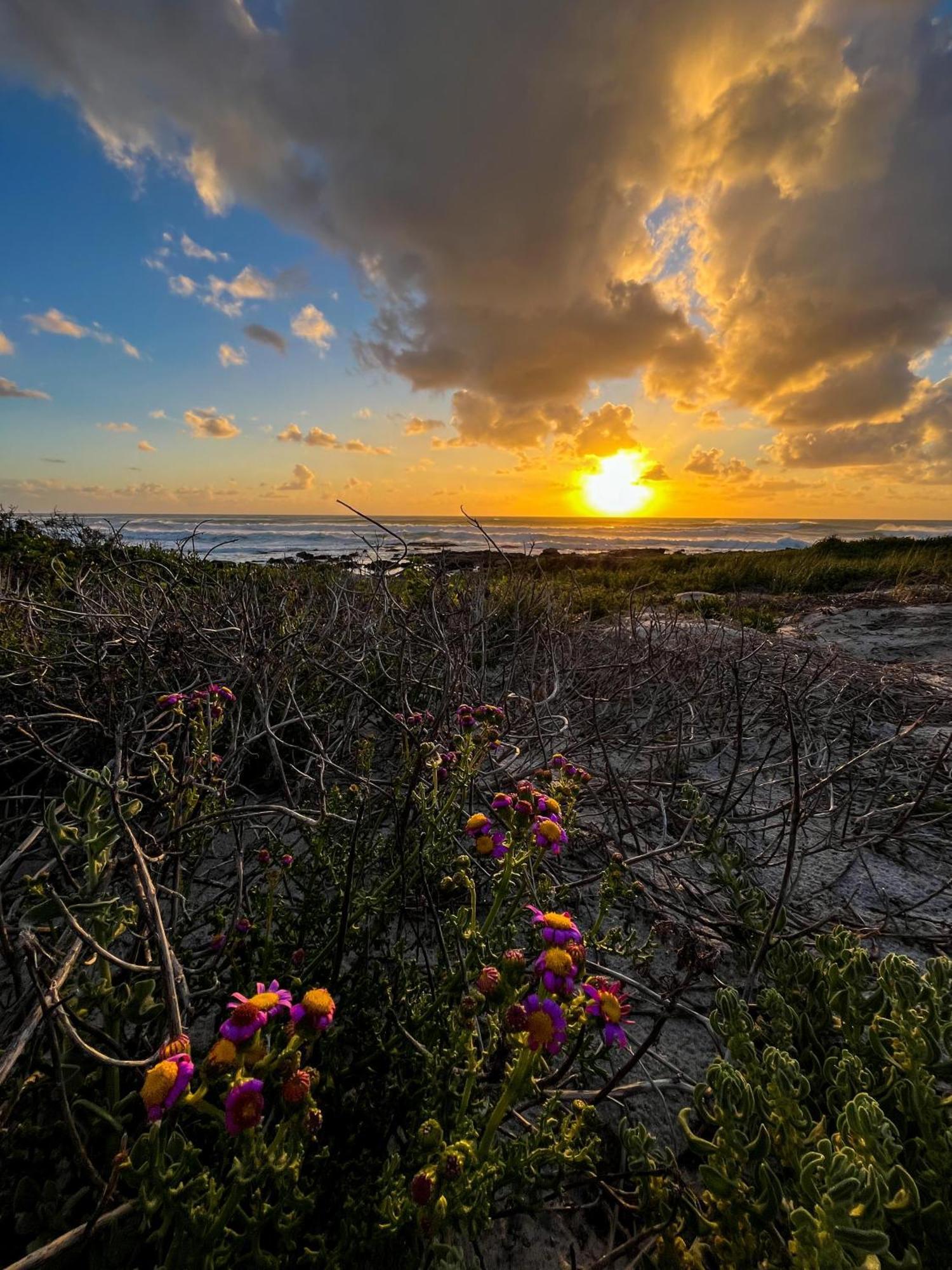 Scarborough Nature Lodge Cape Town Dış mekan fotoğraf