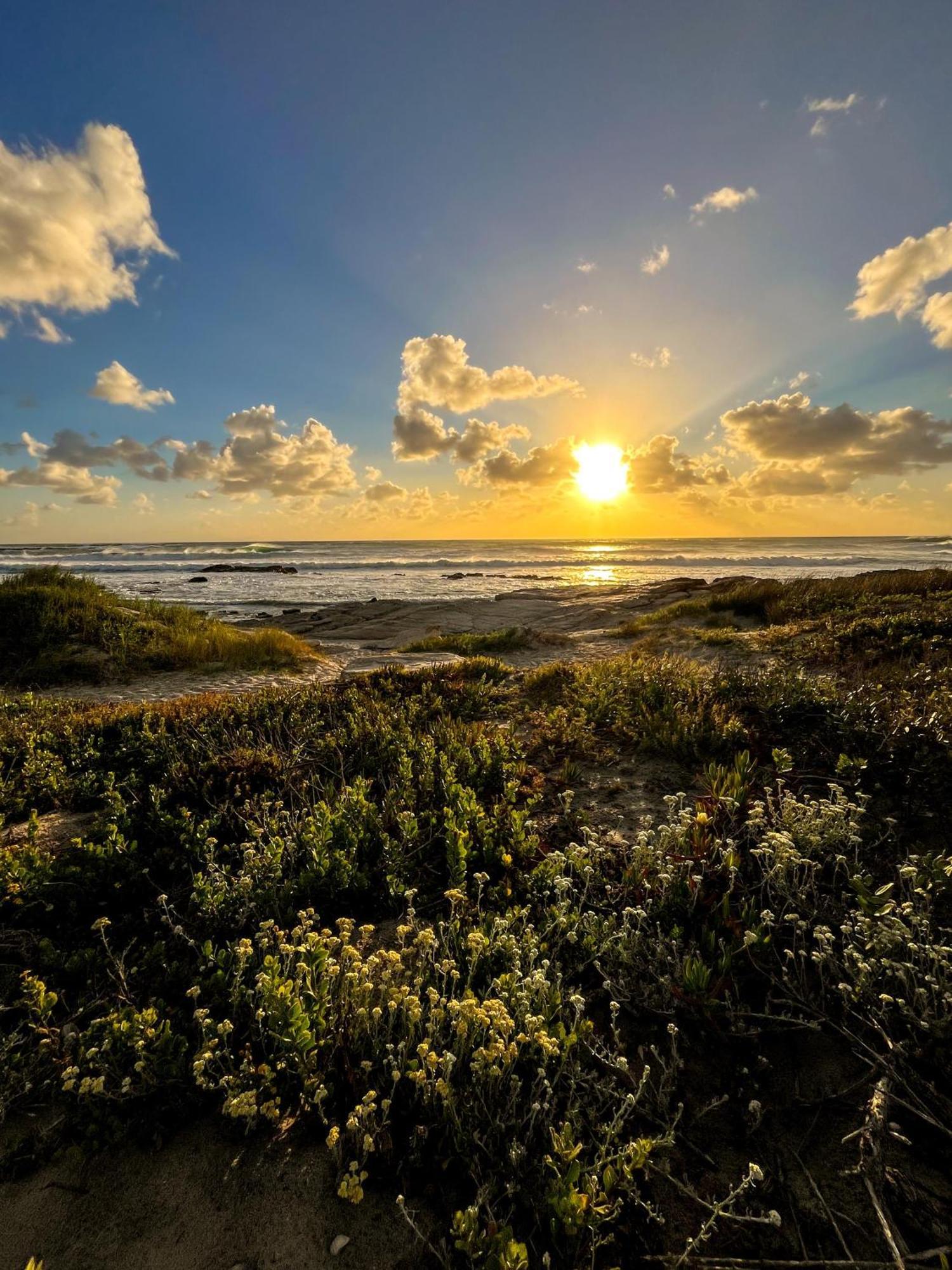 Scarborough Nature Lodge Cape Town Dış mekan fotoğraf