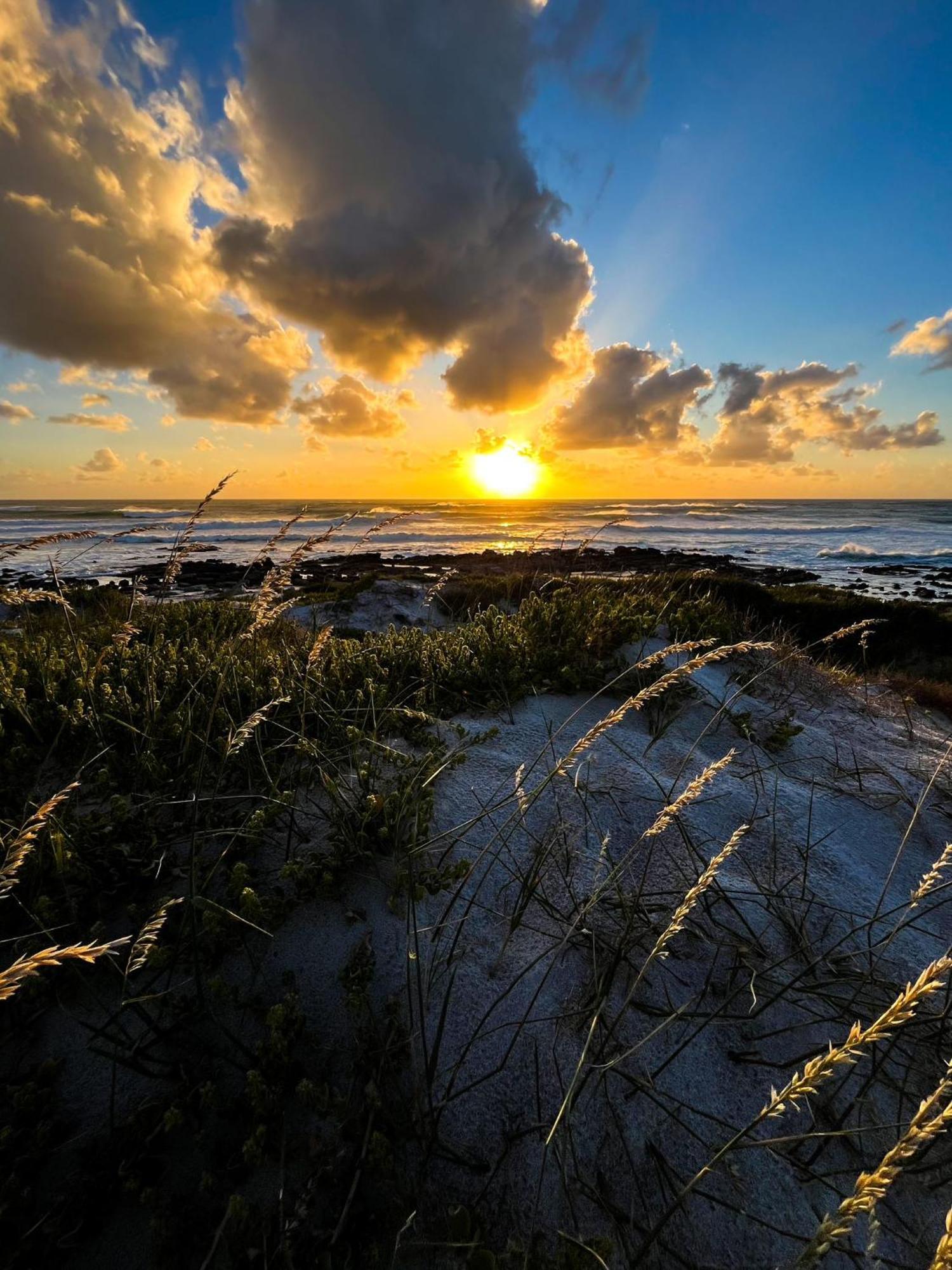 Scarborough Nature Lodge Cape Town Dış mekan fotoğraf