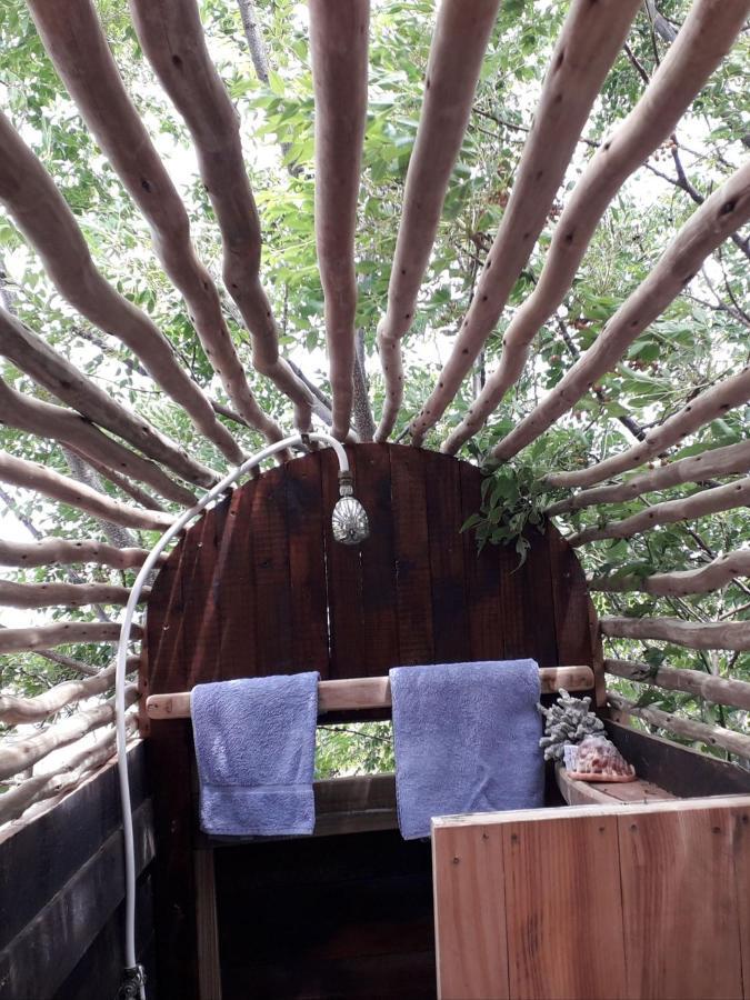 Scarborough Nature Lodge Cape Town Dış mekan fotoğraf