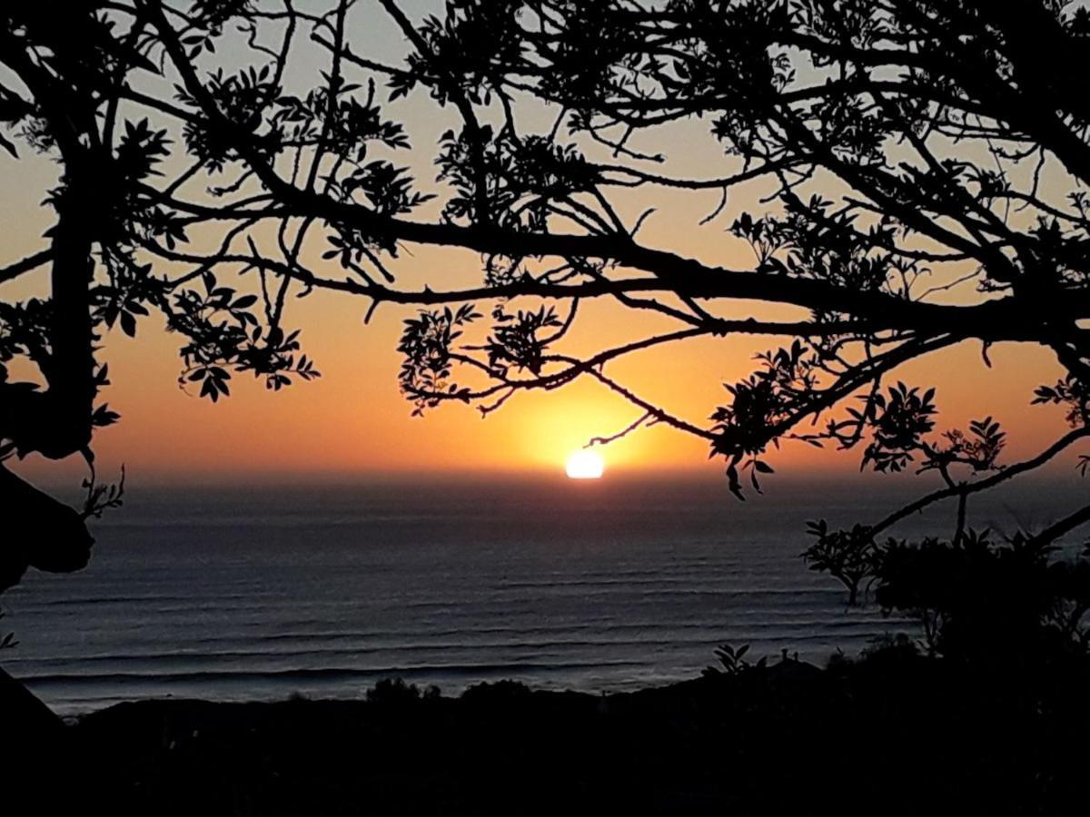 Scarborough Nature Lodge Cape Town Dış mekan fotoğraf